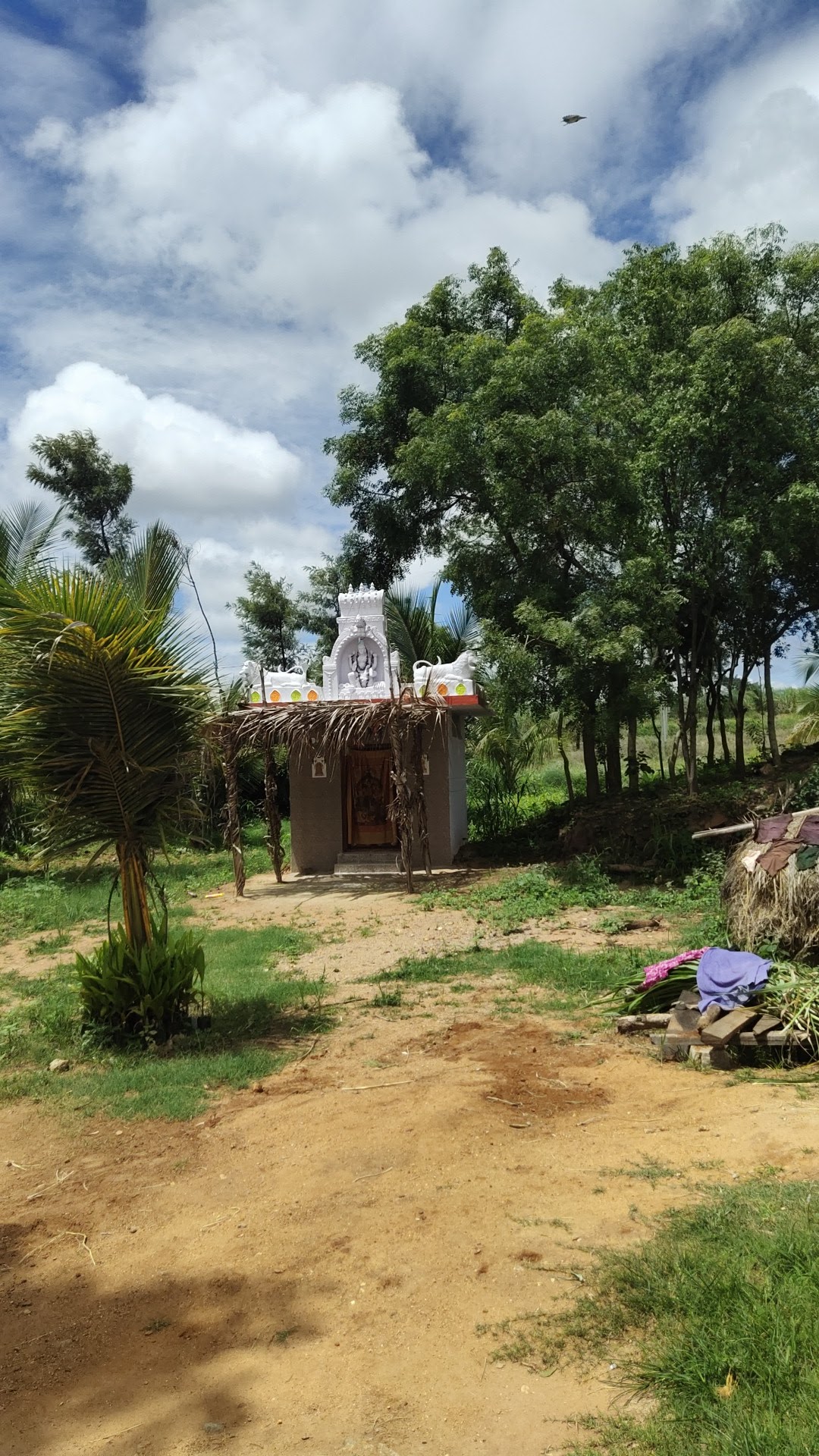 ನಲ್ಲೂರು ಮಹಾಲಕ್ಷ್ಮಿ ದೇವಸ್ಥಾನ ಬೇವಿನಹಳ್ಳಿ