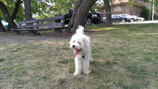 Park «Independence Park», reviews and photos, 3945 N Springfield Ave, Chicago, IL 60618, USA