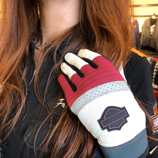 Motorcycle Dealer «Harley-Davidson of Montgomery», reviews and photos, 655 N Eastern Blvd, Montgomery, AL 36117, USA