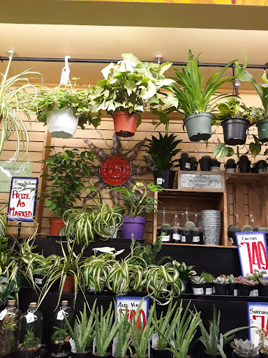 Supermarket «Rosauers Supermarkets», reviews and photos, 907 W 14th Ave, Spokane, WA 99204, USA