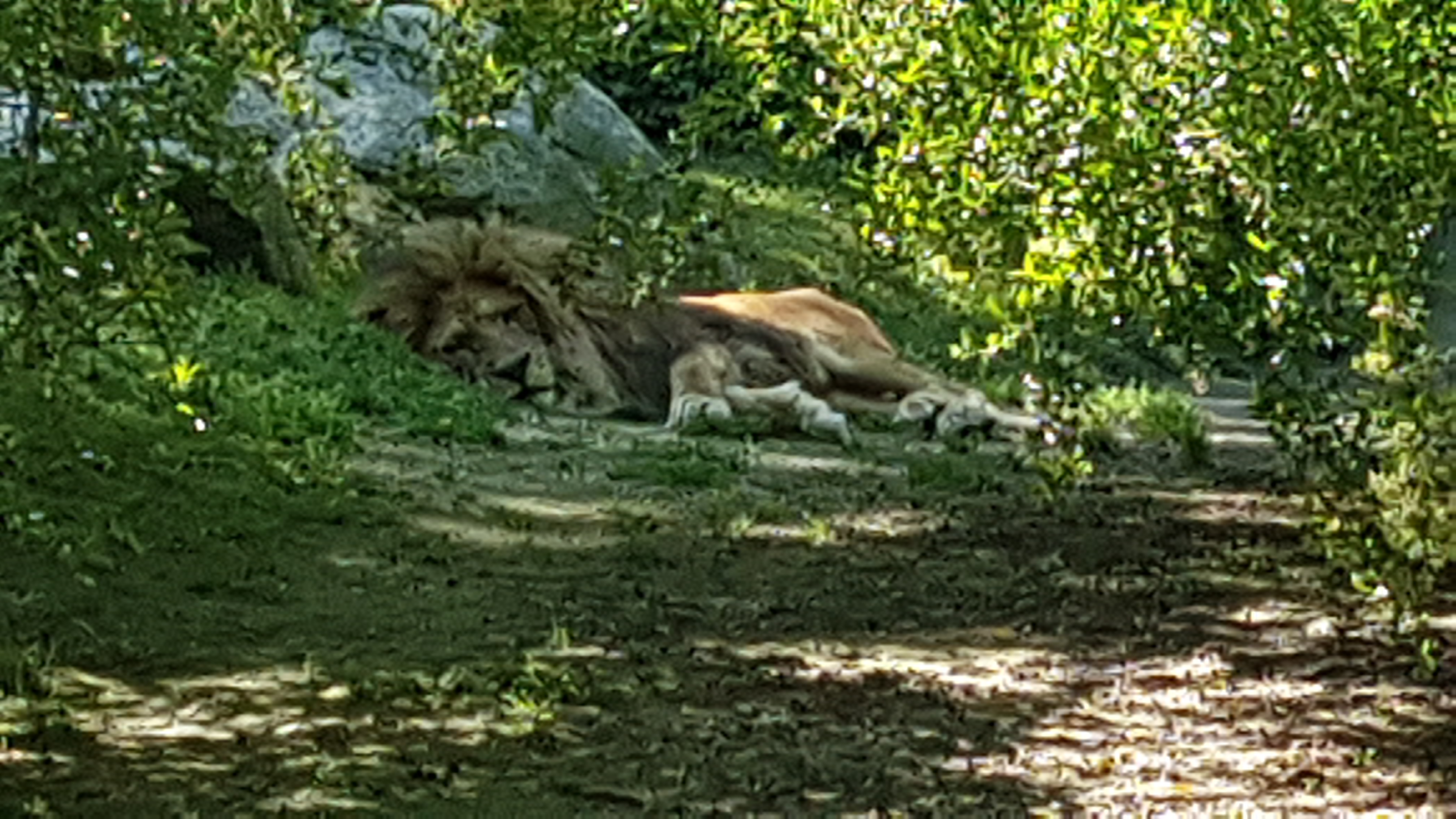 Photo n° 18 de l'avis de Dominique.A fait le 21/05/2019 à 20:35