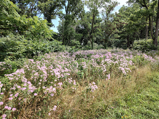 Battle Site «Third Battle of Winchester Battlefield Park», reviews and photos, 541 Redbud Rd, Winchester, VA 22603, USA