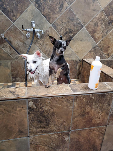 Pet Supply Store «Pet Valu», reviews and photos, 150 Main St, Lodi, NJ 07644, USA