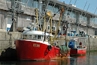 Plymouth Fisheries
