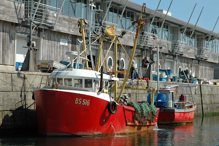 Plymouth Fisheries Fish Quay, Plymouth PL4 0LH, United Kingdom