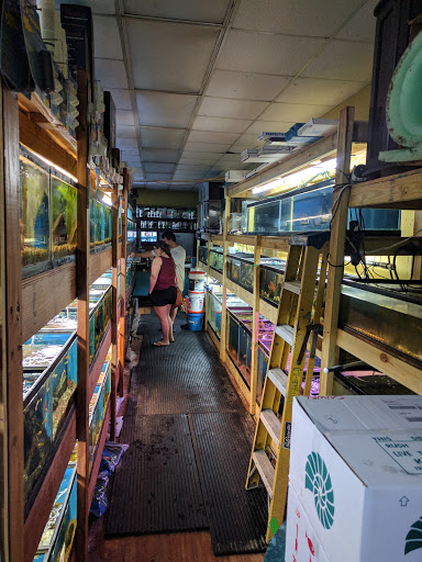 Tropical Fish Store «Westside Aquarium & Pets», reviews and photos, 3402 S Dale Mabry Hwy, Tampa, FL 33629, USA