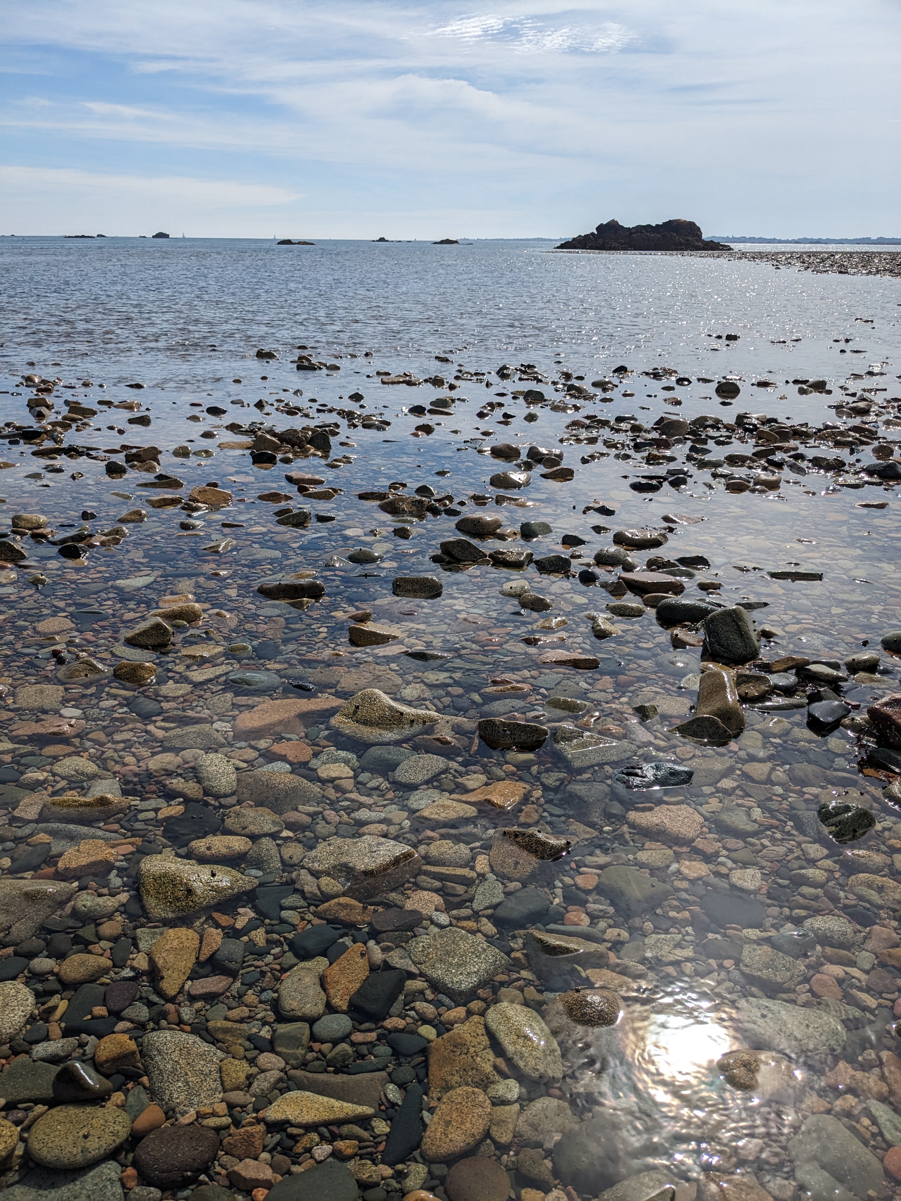 Photo n° 6 de l'avis de Franck.e fait le 24/08/2023 à 08:29