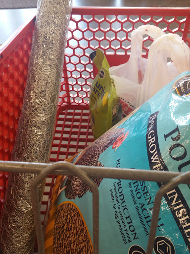 Home Improvement Store «Tractor Supply Co.», reviews and photos, 890 State Rte 415, Osteen, FL 32764, USA