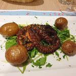 Photo n°1 de l'avis de Ferdinando.a fait le 12/11/2023 à 05:48 sur le  Il Lusitano à Sambucheto