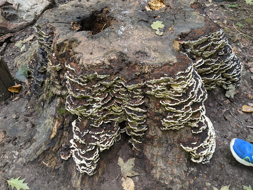 Nature Preserve «Lowry Nature Center», reviews and photos, 7025 Victoria Dr, Victoria, MN 55386, USA
