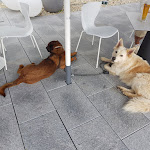 Photo n°5 de l'avis de Wolfgang.u fait le 29/08/2019 à 07:40 sur le  Hotel Schmaus à Viechtach