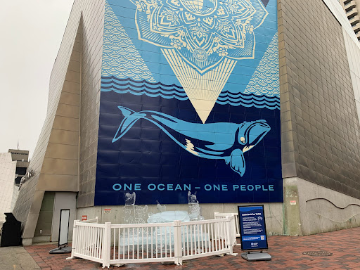 Imax Theater «Simons IMAX Theater», reviews and photos, 1 Central Wharf, Boston, MA 02110, USA