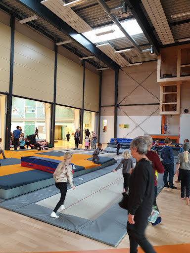 Ry-hallerne in Ry, Skanderborg