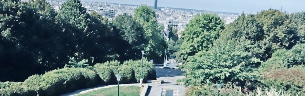 Photo n° 4 de l'avis de François.A fait le 23/06/2019 à 13:45