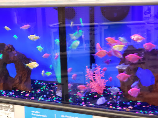 Pet Supply Store «Petco Animal Supplies», reviews and photos, 4475 SW 40th Ave, Ocala, FL 34474, USA