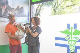 Clinica Veterinaria Animal Care