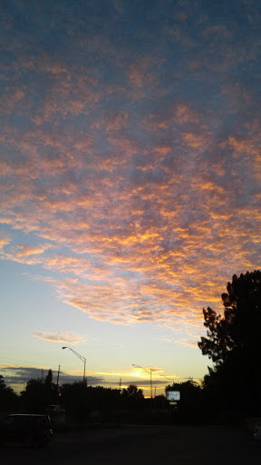 Explore butterfly cover up tattoo ideas, creative tattoo ideas in Bradenton, available at Memory Lane Tattoo Co.