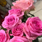 Photo n° 1 de l'avis de LACROIX.l fait le 02/06/2024 à 16:30 pour AMBIANCE FLEURIE , des créations personnalisées à SOULTZ LES BAINS à Soultz-les-Bains