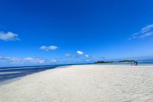 Tondol White Sand Beach image