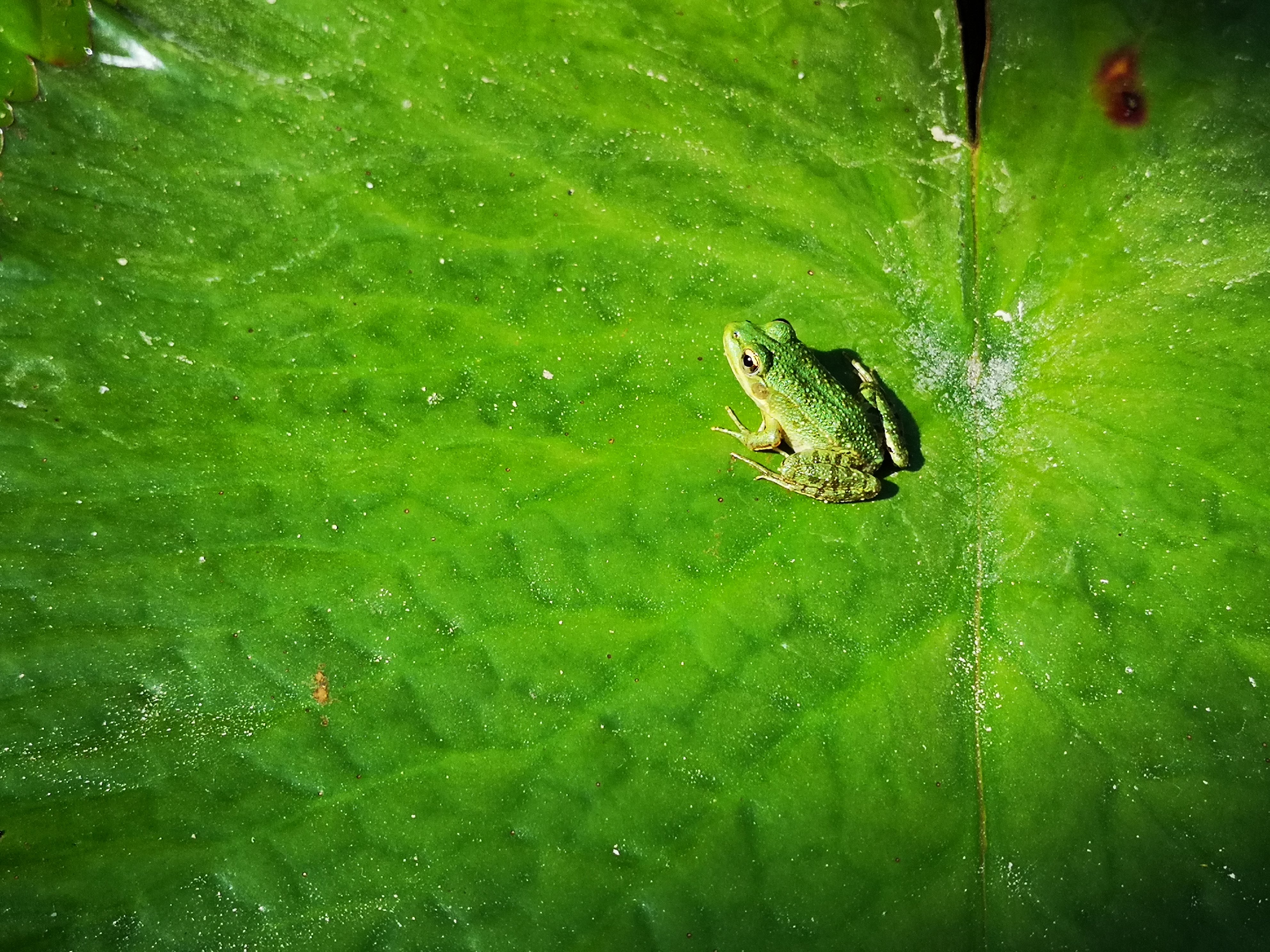 Photo n° 3 de l'avis de Cyrille.h fait le 02/09/2018 à 19:17