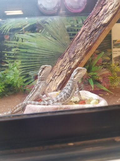 Pet Supply Store «PetSmart», reviews and photos, 9887 76th St, Pleasant Prairie, WI 53158, USA