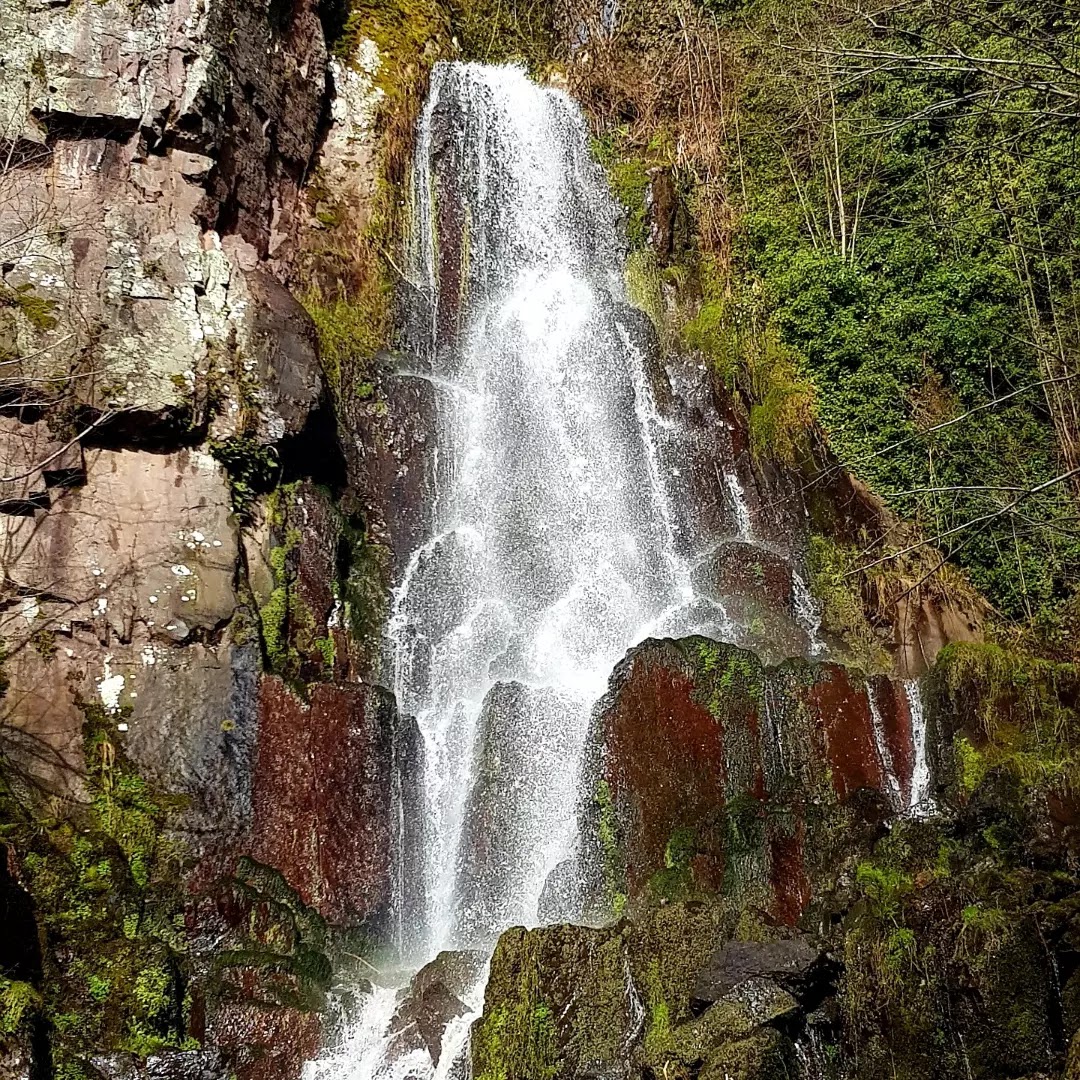 Photo n° 1 de l'avis de Celine.o fait le 17/02/2022 à 17:37