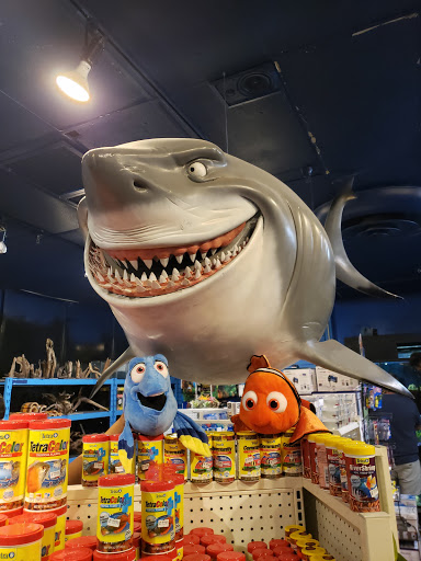 Pet Store «Pet Kingdom», reviews and photos, 4650 S Cleveland Ave, Fort Myers, FL 33907, USA