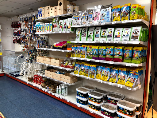 Euskalmushing - Basauri