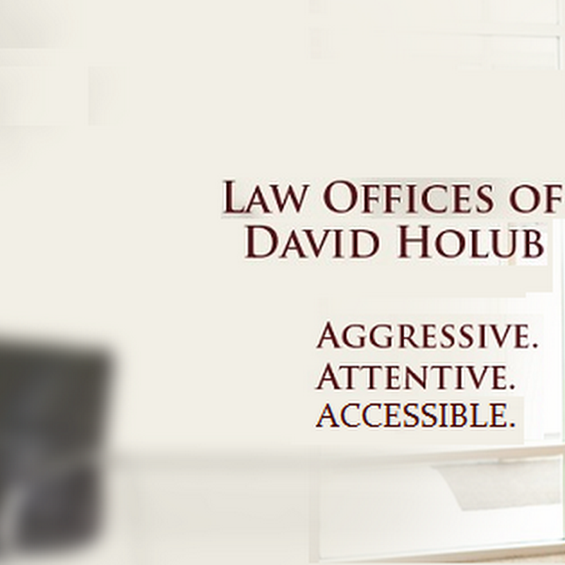 David W Holub Law Offices