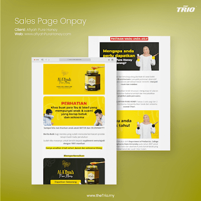 The TRIO - Digital Marketing & Web Design