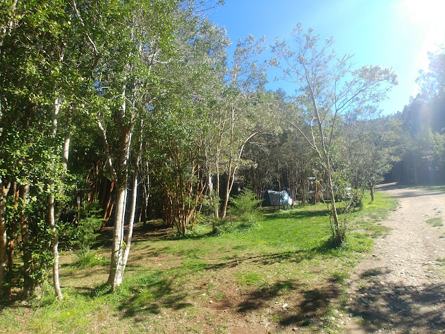 Opiniones de Camping Familiar Agua De La Piedra en Valdivia - Camping