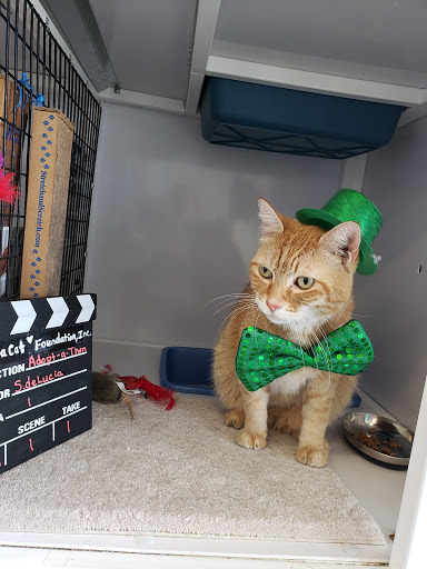 Pet Supply Store «Pet Supplies Plus», reviews and photos, 1258 Northlake Blvd, Lake Park, FL 33403, USA