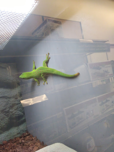 Pet Supply Store «Petco Animal Supplies», reviews and photos, 1086 Killingly Commons Drive, Dayville, CT 06241, USA