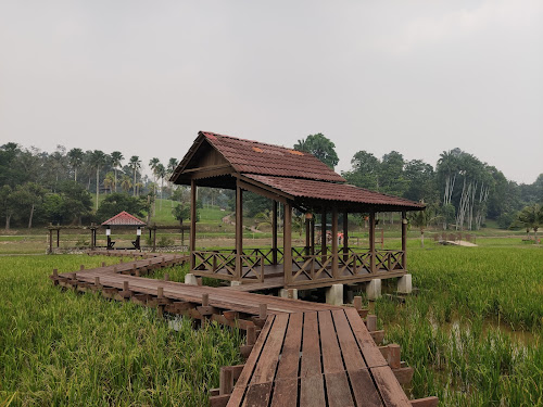 Taman Botani Negara Shah Alam Tourist Attraction In Kampung Tanjung Karang Malaysia Top Rated Online