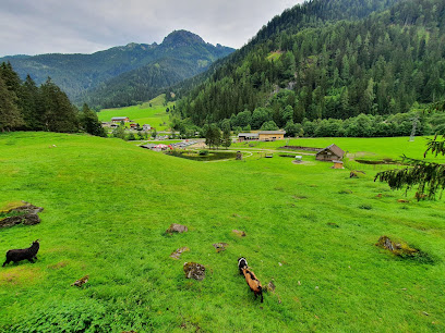 Wild- und Freizeitpark Untertauern