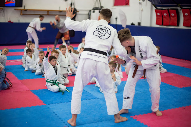 SJA Martial Arts - Swansea