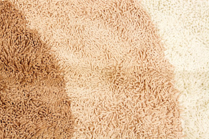 Vivid Carpet Rug Dyeing Sydney