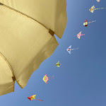 Photo n°3 de l'avis de Anita.e fait le 25/07/2022 à 17:44 sur le  Poseidonia Beach Club: Ristorante sulla Sabbia - Pizzeria - Lounge & Sushi Bar - à Marina di Ascea