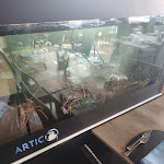 Photo n°5 de l'avis de Michele.a fait le 21/05/2018 à 08:56 sur le  Ristorante A Due Passi Dal Mare à Torre Sibiliana