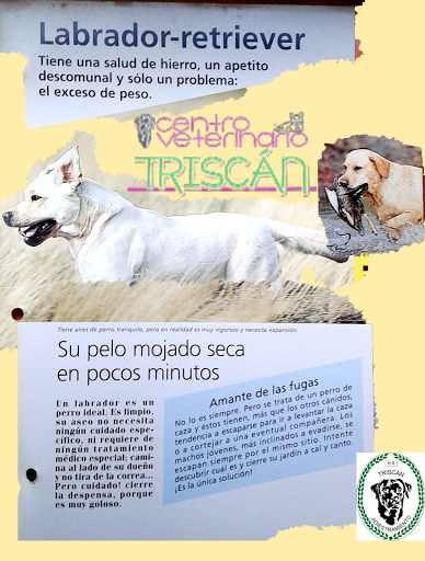 Centro Veterinario Triscan en Oviedo