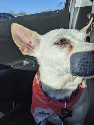 Pet Supply Store «PetSmart», reviews and photos, 10164 Colerain Ave, Cincinnati, OH 45251, USA