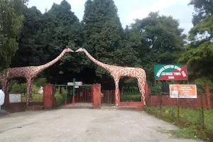 Roing Zoo image