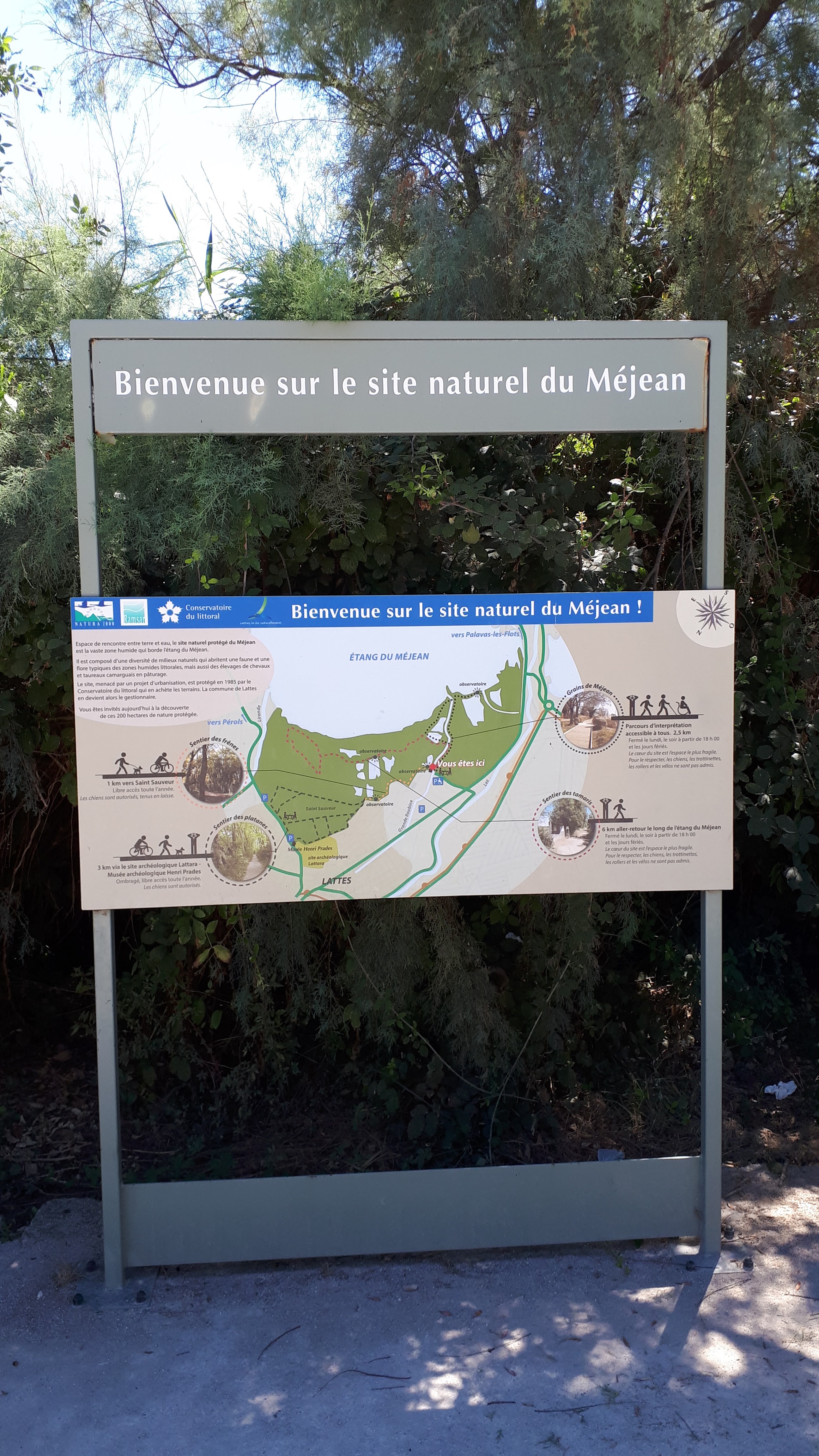Photo n° 9 de l'avis de Bernard.e fait le 25/08/2020 à 17:03