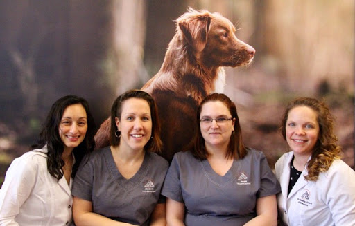 Clinique Vétérinaire Fossambault image