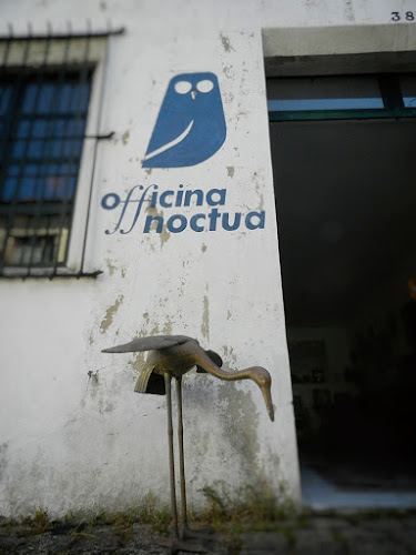 Officina Noctua