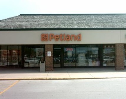 Petland, 6126 Northwest Hwy, Crystal Lake, IL 60014, USA, 