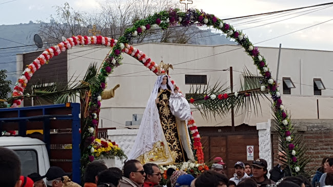 Opiniones de Santuario Virgen Del Carmen De Petorquita en Hijuelas - Museo