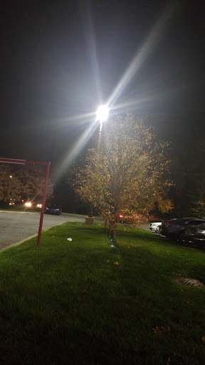 Coffee Shop «Tim Hortons», reviews and photos, 3550 Greenfield Rd, Dearborn, MI 48126, USA