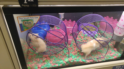 Pet Supply Store «PetSmart», reviews and photos, 144 Retail Commons Pkwy, Martinsburg, WV 25403, USA