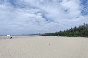 Crabs Sea Beach image